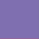 Dehlia Purple